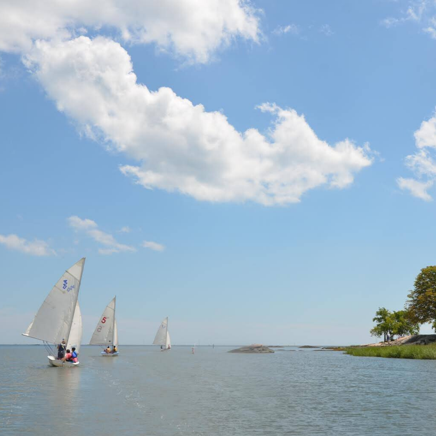 guilford yacht club sailing camp